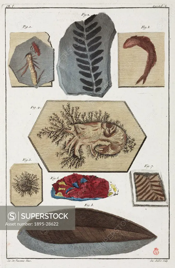 Hand-coloured engraving made c 1775 showing: 1) stone with relief of two insects, 2) black fossil stone, 3) calcareous stone showing crayfish imprint,...
