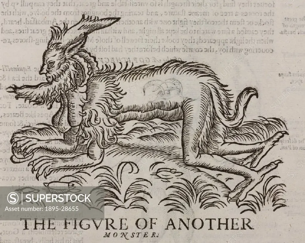 Woodcut from The Historie of foure-footed beastes’ by Edward Topsell (1572-1625?) published in London in 1607. Topsell´s main source was Historiae a...