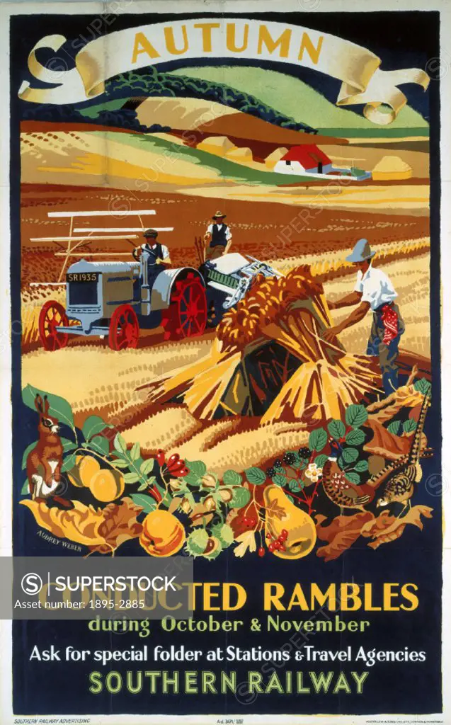 Poster produced for Southern Railway (SR) to promote conducted rambling during the months of October and November. The poster shows a rural scene of f...