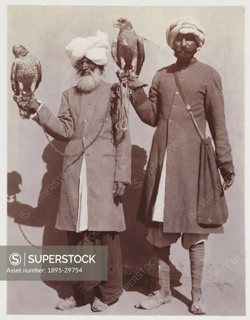 A snapshot photograph of two Indian falconers, taken by an unknown photographer in about 1912.  The two men each hold a falcon on their gloved hands. ...