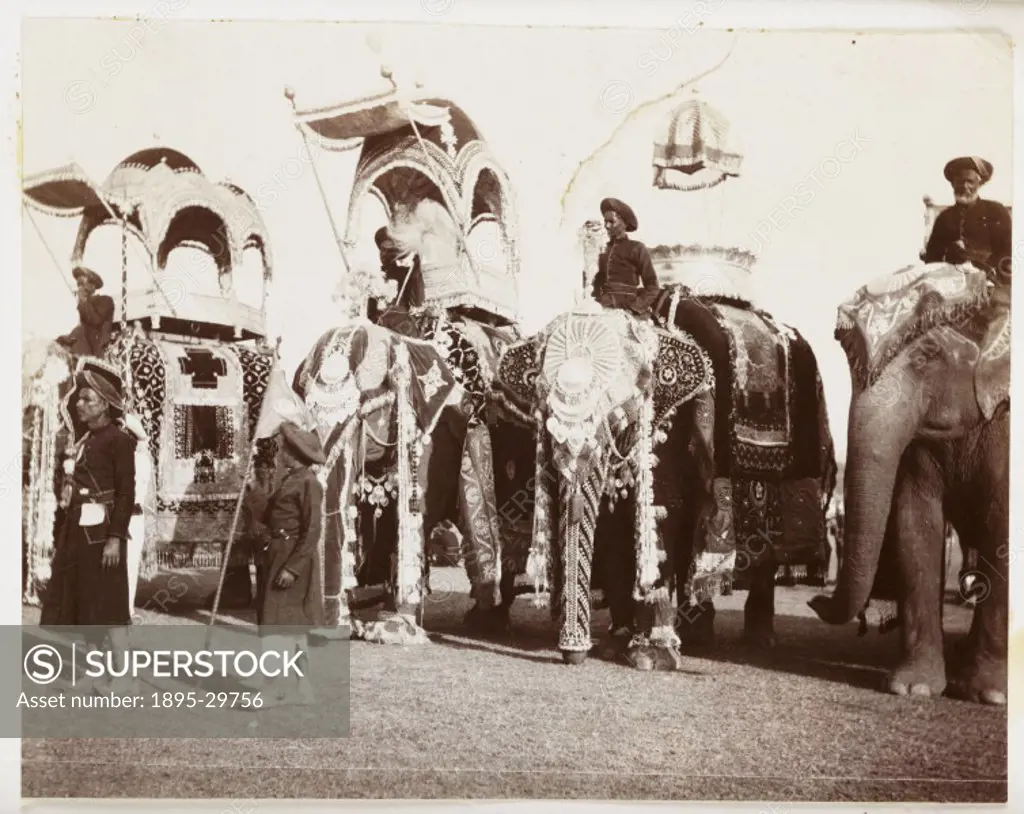 A snapshot photograph of four state elephants at a Durbar in India, taken by an unknown photographer in about 1908.  These elephants, with their highl...