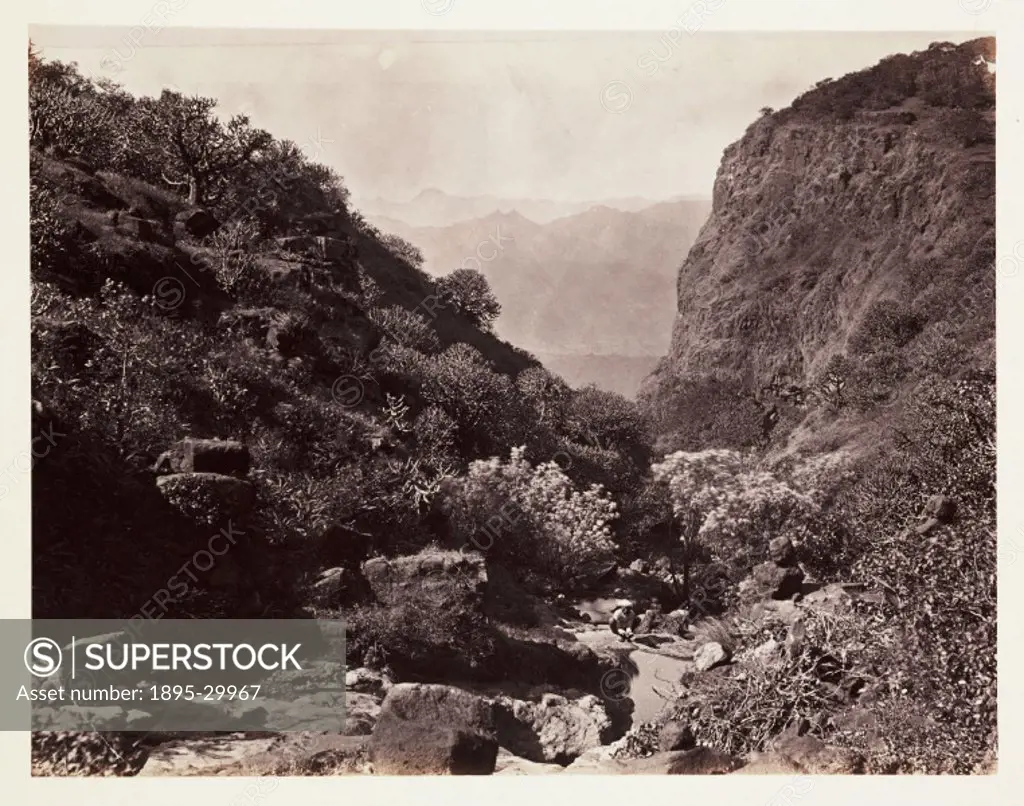 A photograph of an area called Dhobie´s Glen in Mahabaleshwar, India, taken by Samuel Bourne (1834-1912), in about 1865.  Mahabaleshwar is the highest...
