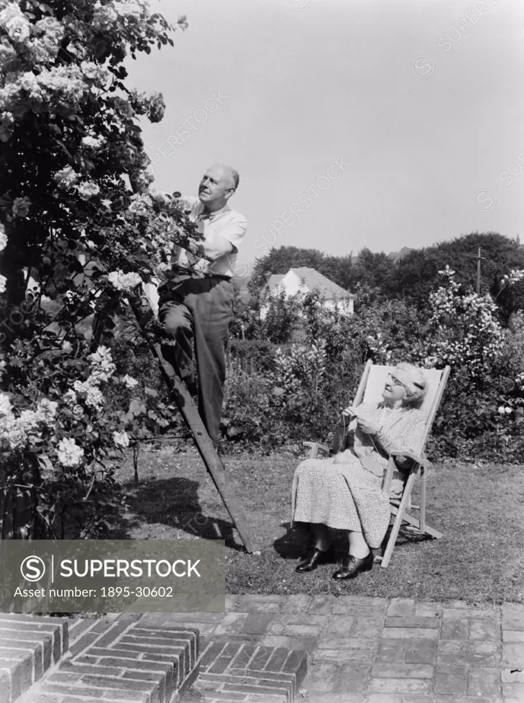 A photograph of an elderly man pruning roses in the garden as an elderly woman watches him from a deckchair, taken by Photographic Advertising Limited...