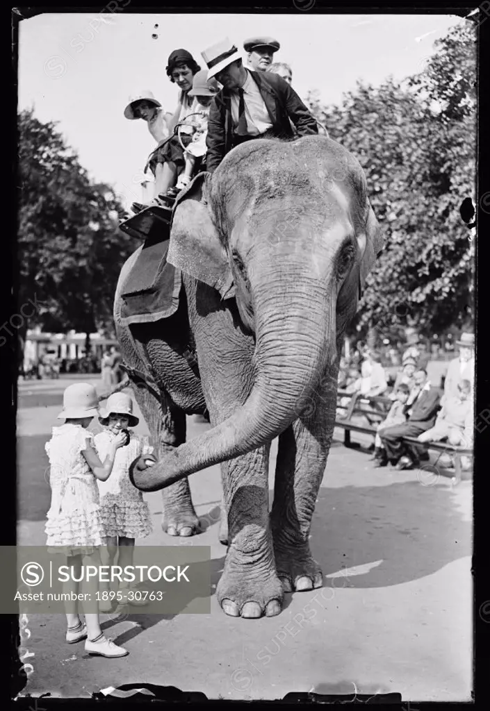 A photograph of an elephant giving a group of visitors at the zoo a ride on his back, taken by James Jarche for the Daily Herald newspaper on 6 June, ...