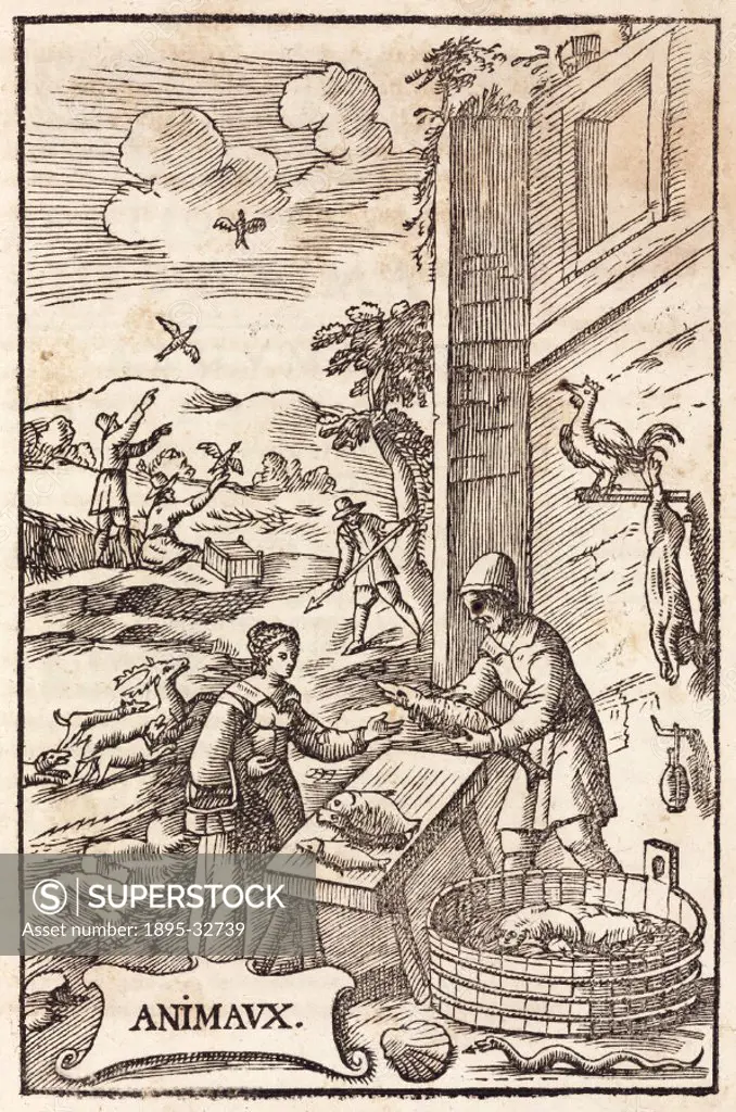 Woodcut showing a butcher selling meat and fish, a gutted rabbit hangs on the wall. In the background men are releasing caged birds. Another is huntin...