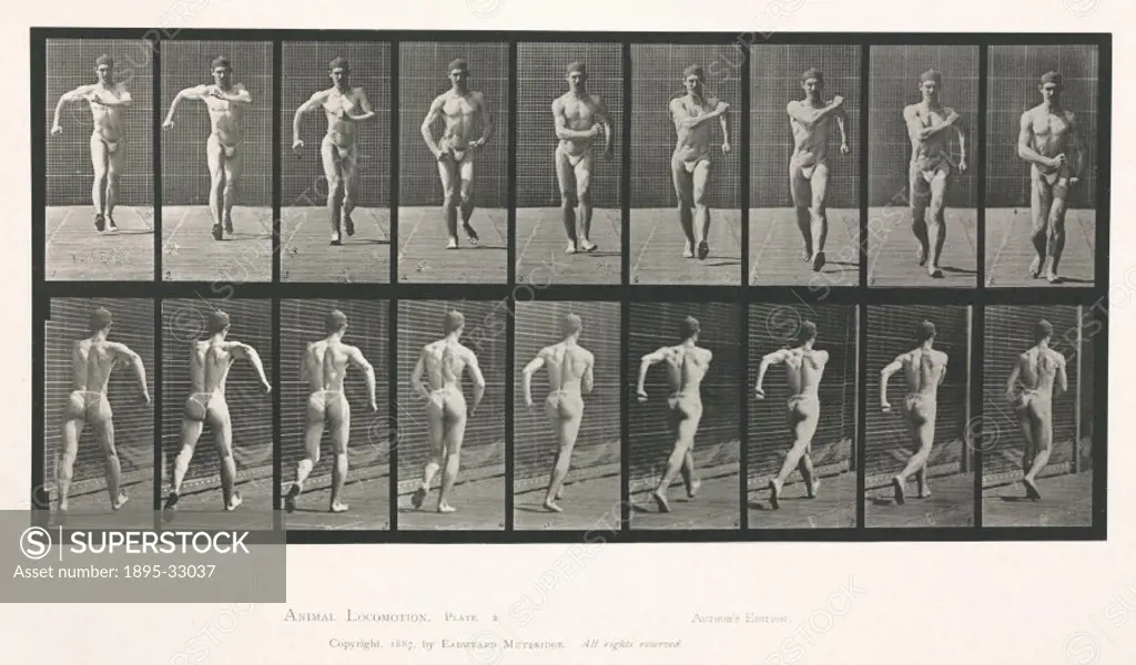 Time-lapse photographs of a man walking, 1872-1885.Photograph by Edweard James Muybridge (1830-1904), British-American photographer and pioneer of ani...