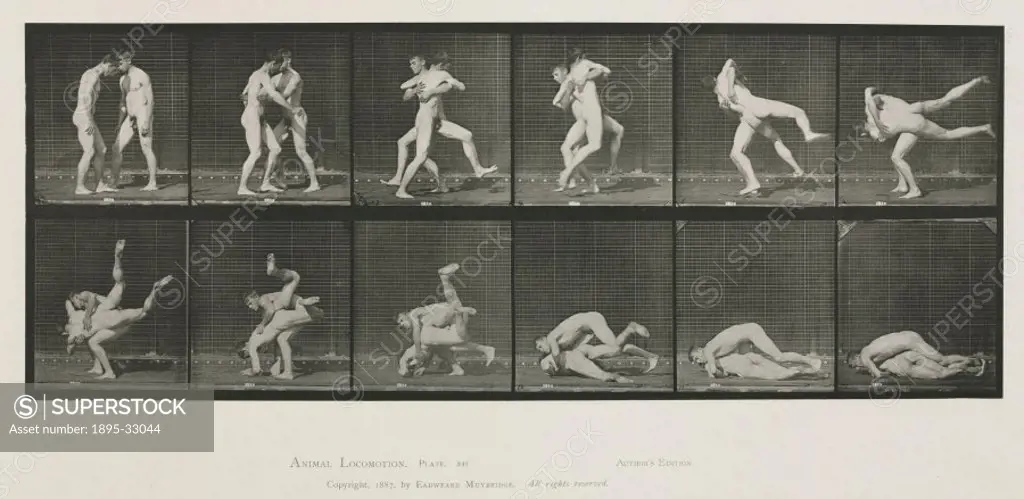 Time-lapse photographs of two men wrestling, 1872-1885.Photograph by Edweard James Muybridge (1830-1904), British-American photographer and pioneer of...