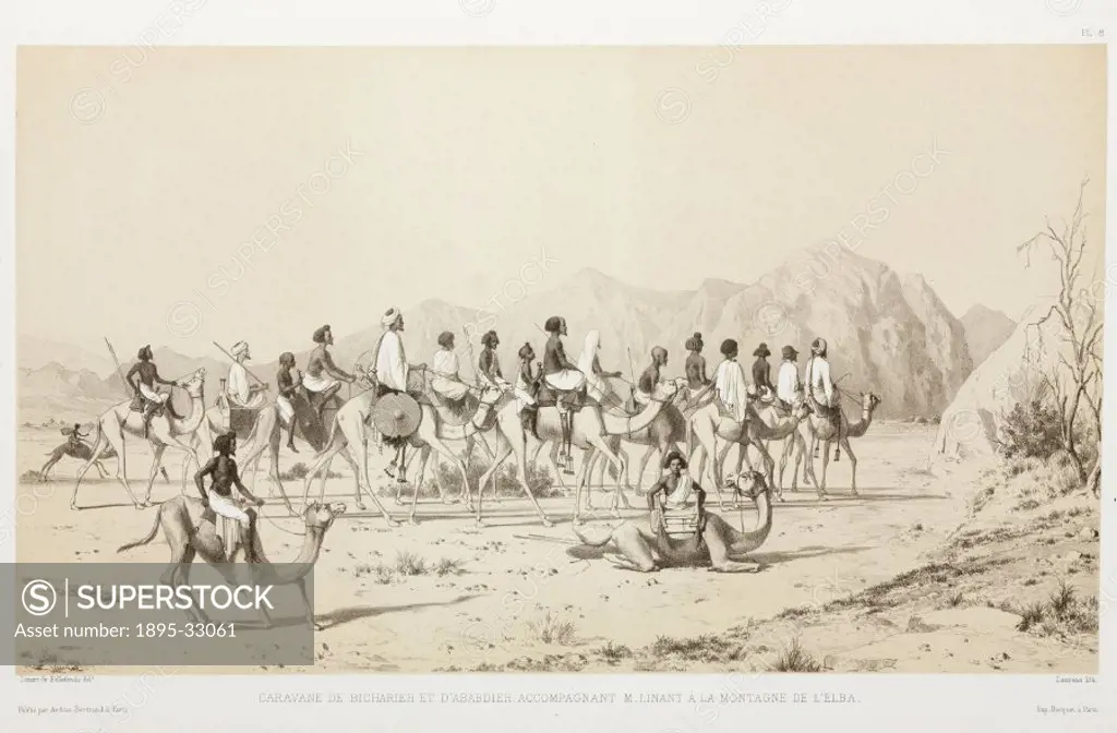 Lithograph by Laurens after Louis Maurice AdolpheLinant de Bellefonds (1799-1883) showing a camel caravan accompanying Linant de Bellefonds to Gabal ...
