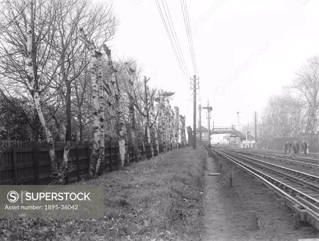 Permanent way workers checking track, 14 November 1914. At this time all track work was done manually. Track was lifted with jacks and put into place ...