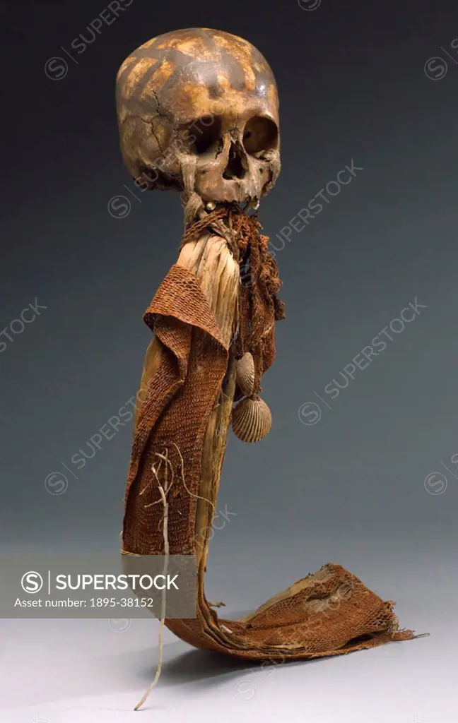 Human skull, missing the lower mandible, with carrying band decorated with shells. A ceremonial object worn as sign of mourning and in order to cure p...