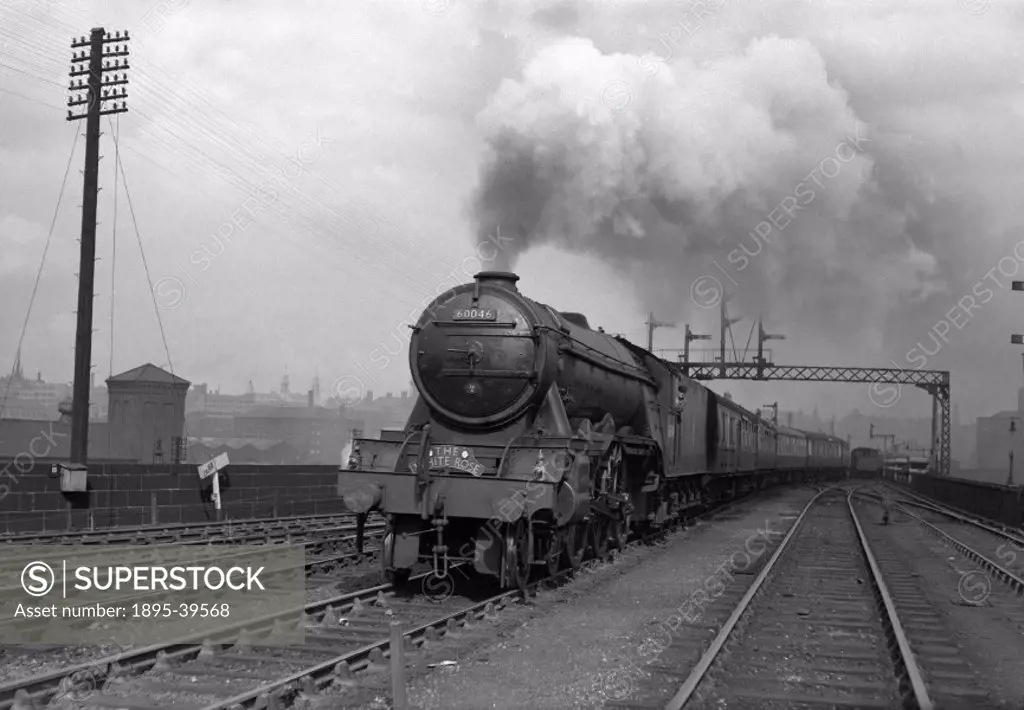The ´White Rose´ train, hauled by an A3 class 4-6-2 locomotive number 60046 ´Diamond Jubilee´ near Leeds, by Eric Treacy, about 1955.  The White Rose ...