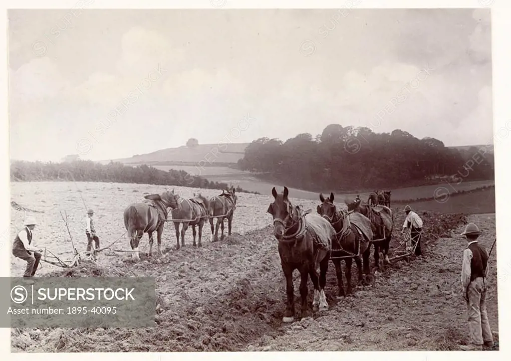A photograph of three teams of horses ploughing a field, taken by Colonel Joseph Gale (c 1835-1906) in about 1890.  These three teams - two in the for...
