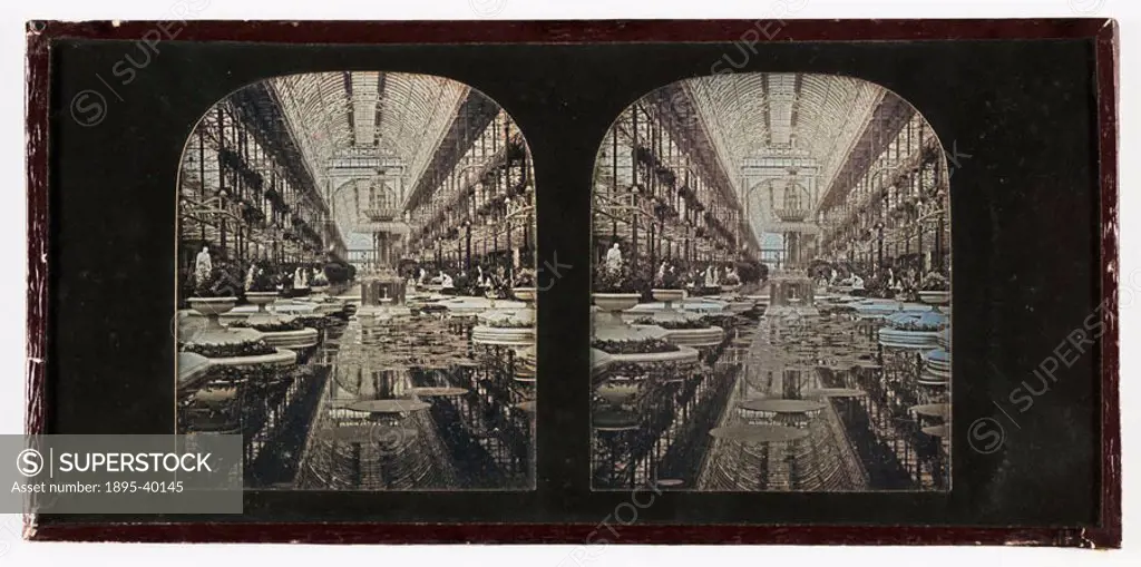 A stereoscopic daguerreotype taken by Henry Negretti and Joseph Zambra, showing an interior view with fountain and lily pads. After housing the Great ...