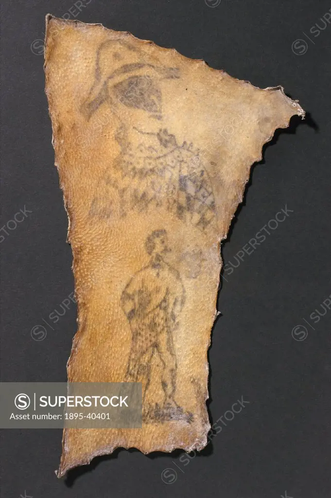 Human skin, tattooed with harlequin and figure of Samson, French, 1830-1900.
