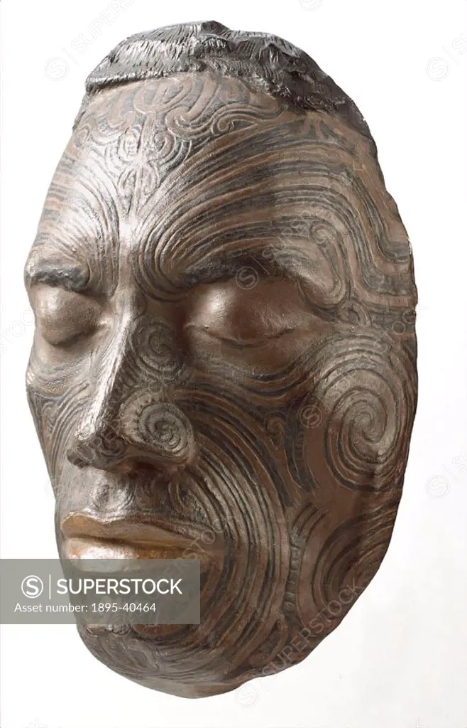 Plaster cast of the face of a man from the Arawa tribe, Rotorua, showing traditional Maori tattooing, made by Sir G Grey.