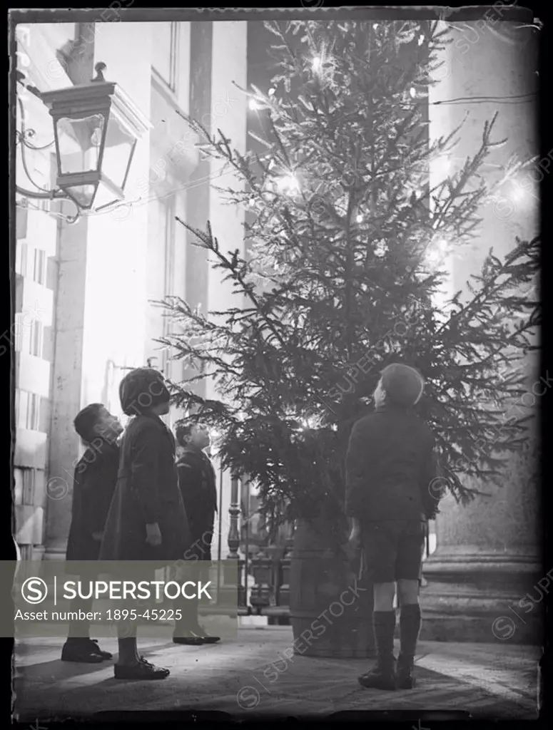 Children admire a tree in the porch of the church of St Martin-in-the-Fields, Trafalgar Square.