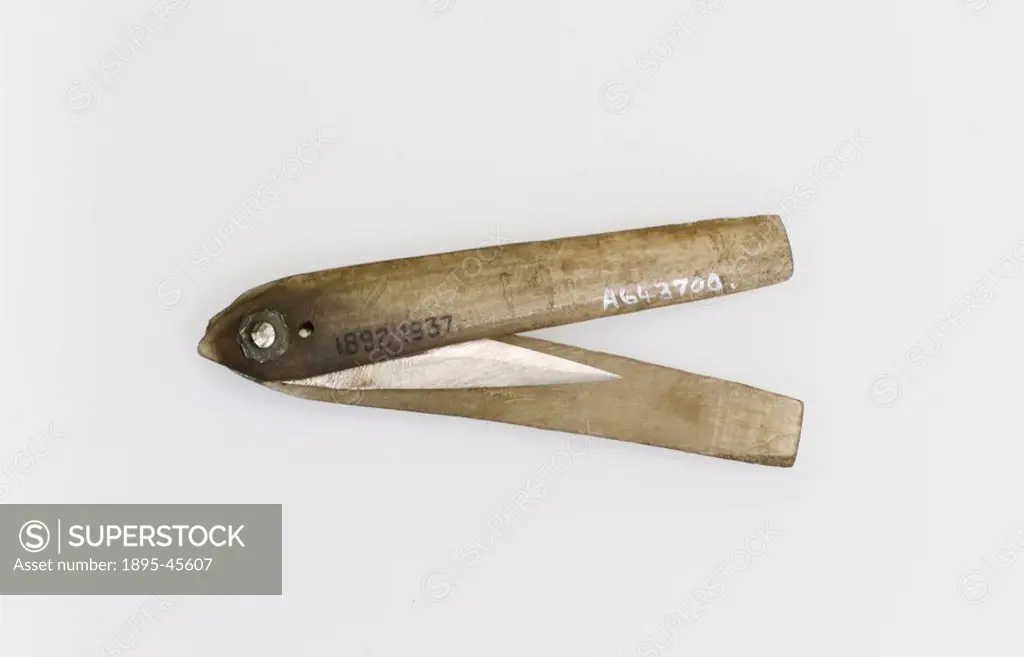 Steel lancet in a bone sheath, made in India