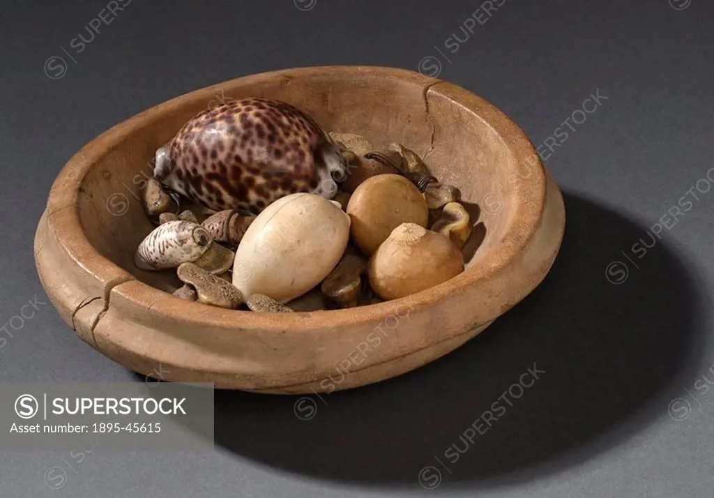 Bowl containing bones, nuts and shells, South African, 1890-1924 Set of 18 bones, four pieces of nut shell, three shells, one cowrie and two nut kerne...