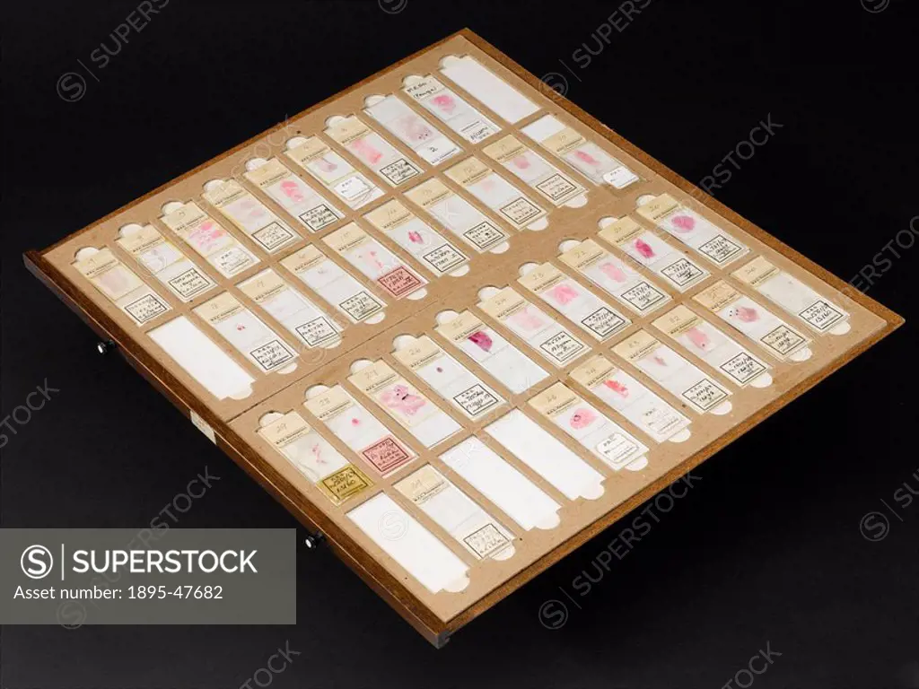 Drawer from Dr J C Wagner´s slide cabinet, 1954-1960 Labelled 1-40 MESO’, this drawer contains original material prepared by Dr J C Wagner relating t...