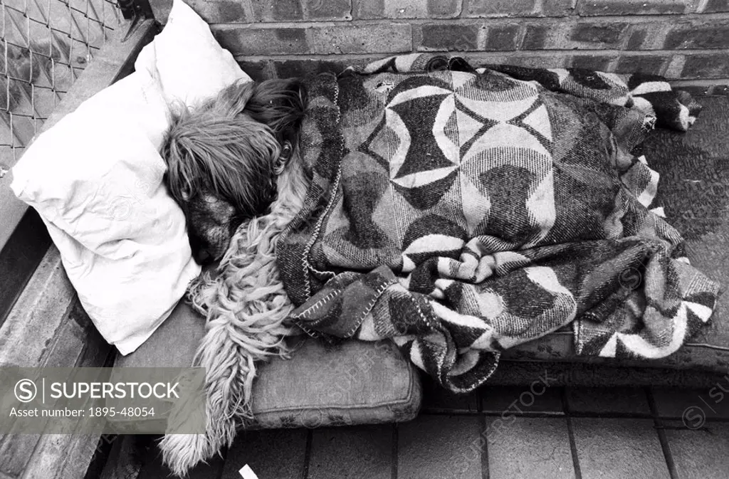 Wally the Afghan hound in a Doggie Exclusive Hotel’, December 1980.A guest at a luxury home for dogs in Great Missenden, Buckinghamshire, run by John...