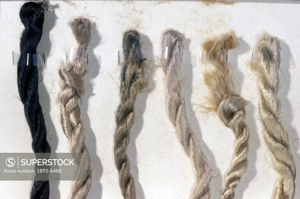 Six skeins made at Wolston, near Coventry. Viscose rayon is a regenerated cellulose and due to the obtained solution being yellow and rather viscose i...