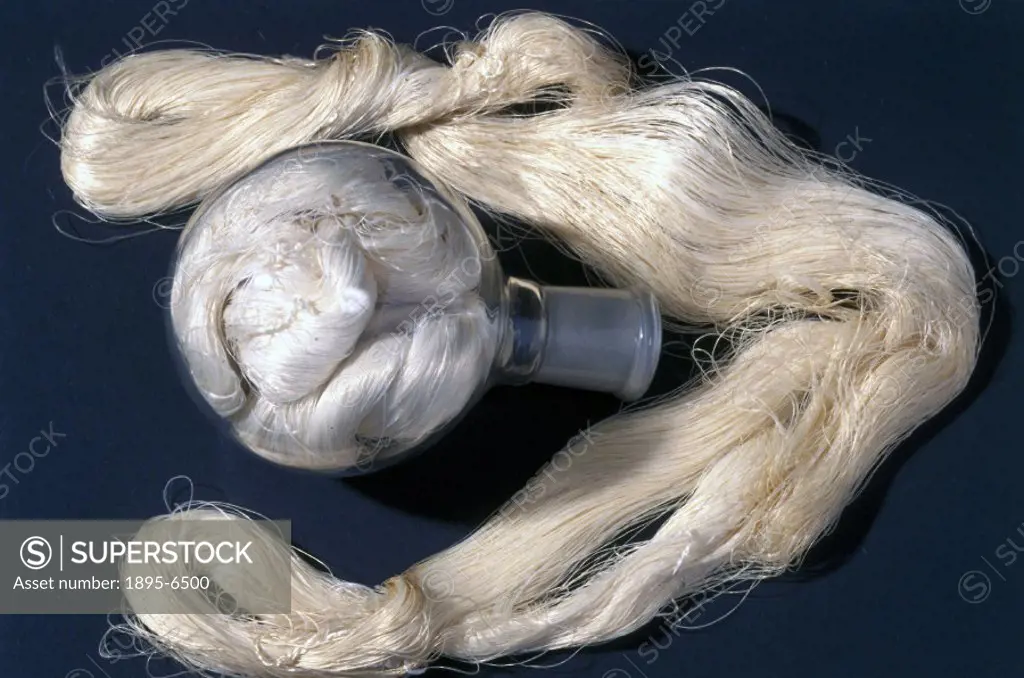 This sample of viscose rayon (artificial silk) was made on 30th August, 1898. Viscose rayon is a regenerated cellulose. Due to the yellow solution obt...