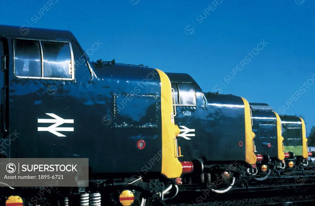 A row of Class 55 Deltic diesel locomotives built by English Electric in 1961-1962. Each powered by two Napier ´Deltic´ engines, these locomotives wer...