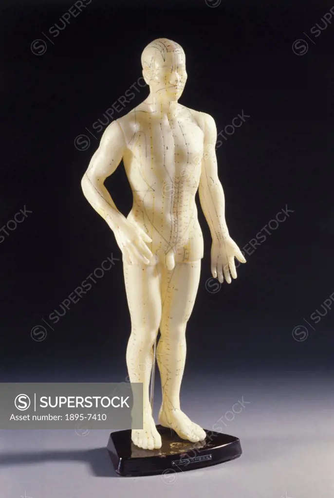 This plastic figure made in Hong Kong was designed for use in acupuncture teaching. Acupuncture is a medical technique which has been practised in Chi...