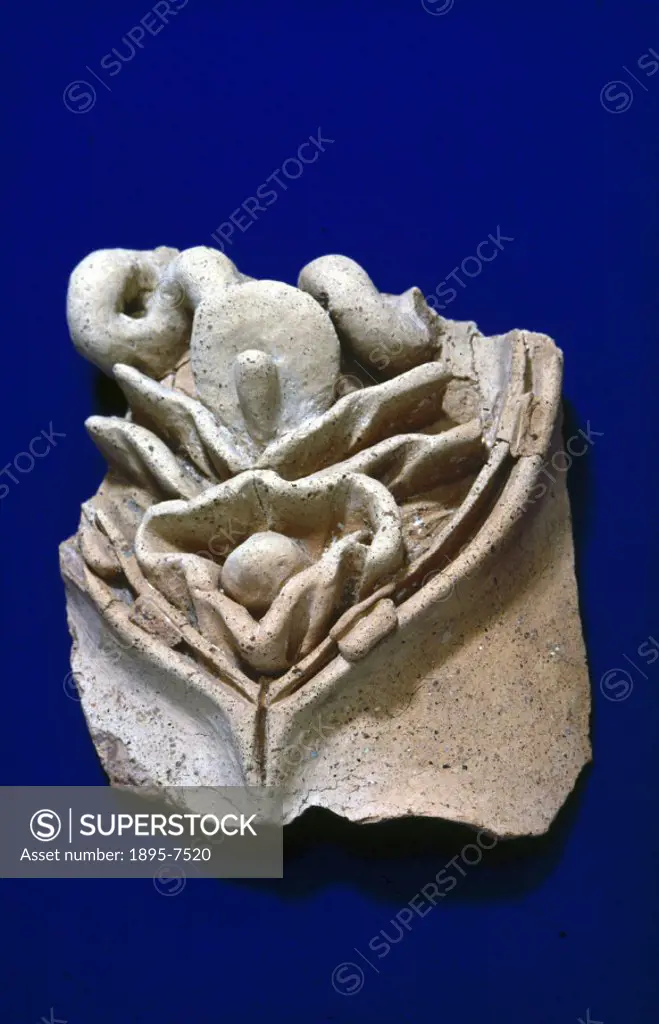 Natural and supernatural medicine existed side by side in Rome, as in ancient Greece. Votive offerings were gifts given to the gods in prayer. These w...