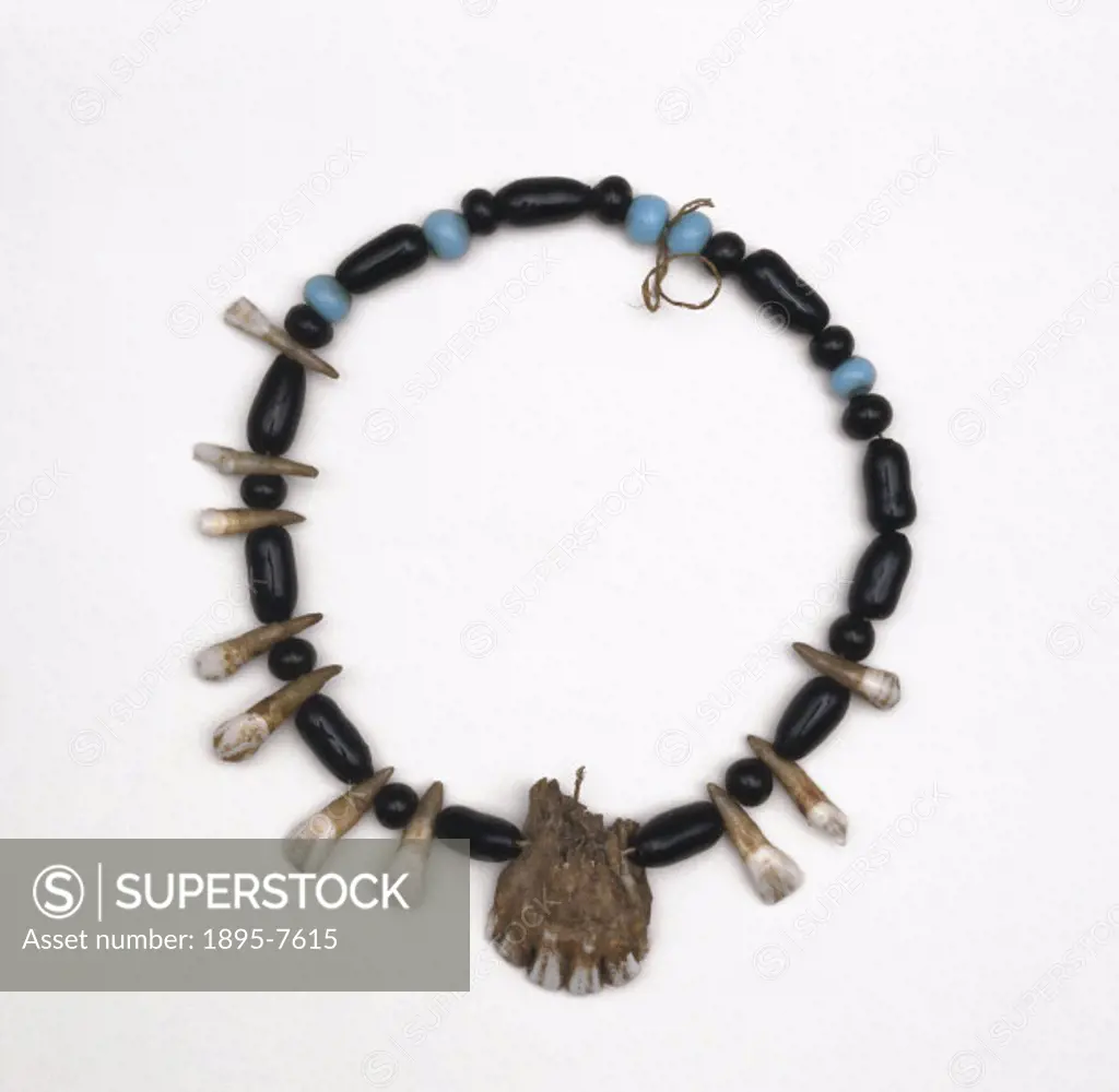 The necklace is threaded with glass beads and teeth, with some of the teeth at the bottom of the necklace still in the upper jaw bone. An amulet is a ...