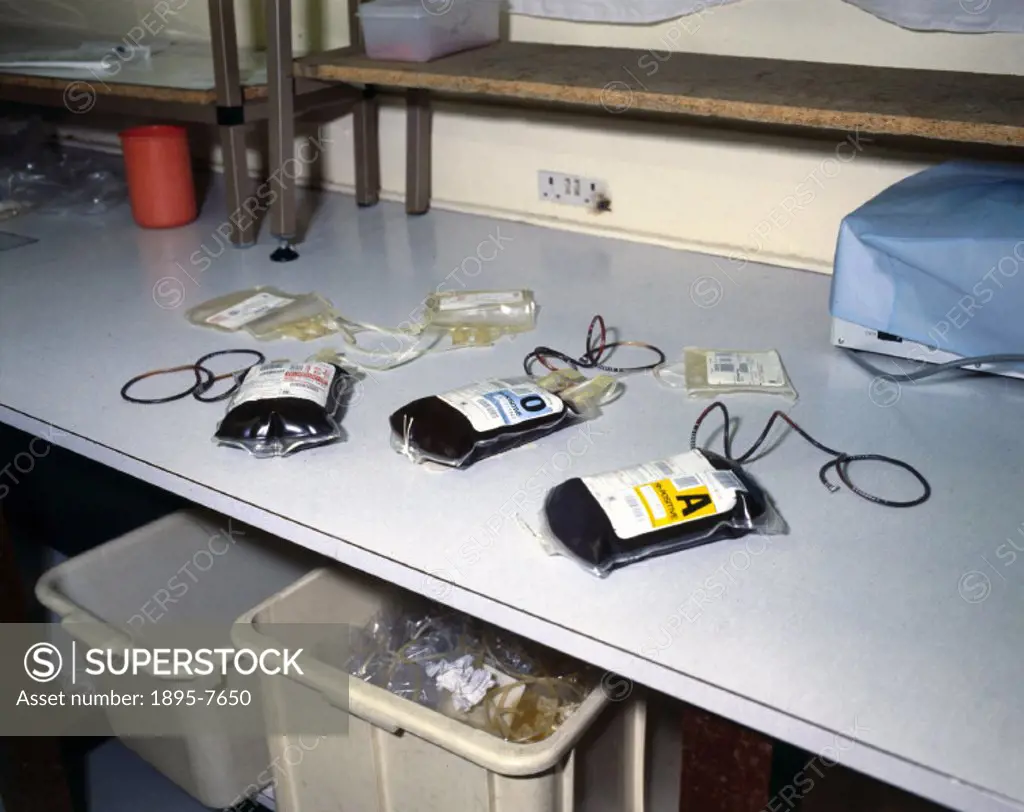 Bags containing blood products on a laboratory bench at the North London Blood Transfusion Centre.