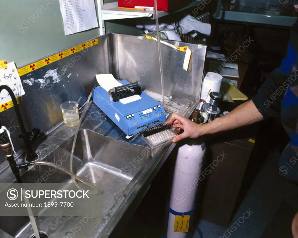 A male technician using a piece of apparatus called a Dynotech Automash.