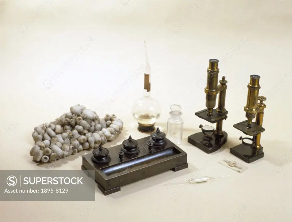 ´These items were used by the French chemist and microbiologist Louis Pasteur (1822-1895). They include silkworm cocoons, two microscopes, slides, a p...