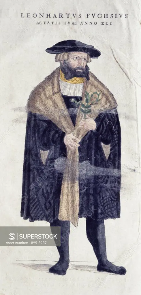 Portrait of Leonard Fuchs taken from Fuch´s herbal, ´De historia stirpium´, publsihed in 1545.