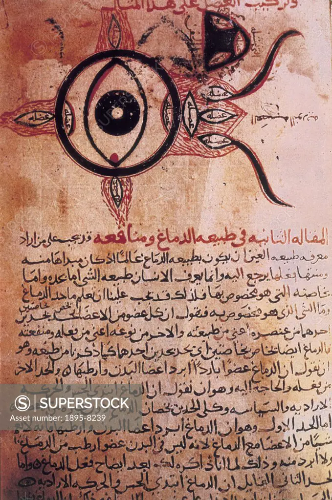 12th century manuscript copied from the original 9th century manuscript by Ibn-Ashaq. The illustration is from The Book of the Ten Treatises on the E...