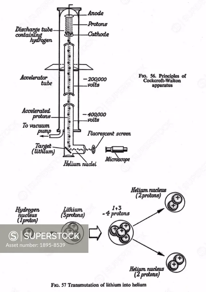 Diagram explaining the working of a particle accelerator, based on the principles of the apparatus designed and used by E T S Walton and J D Cockcroft...