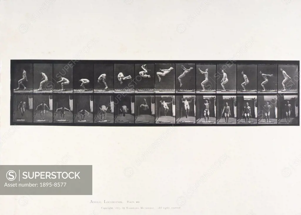 Nude male athlete performing a somersault, c 1872-1885. Plate 362 from Muybridge´s ´Animal Locomotion´ (1887). Eadweard Muybridge (1830- 1904) was the...