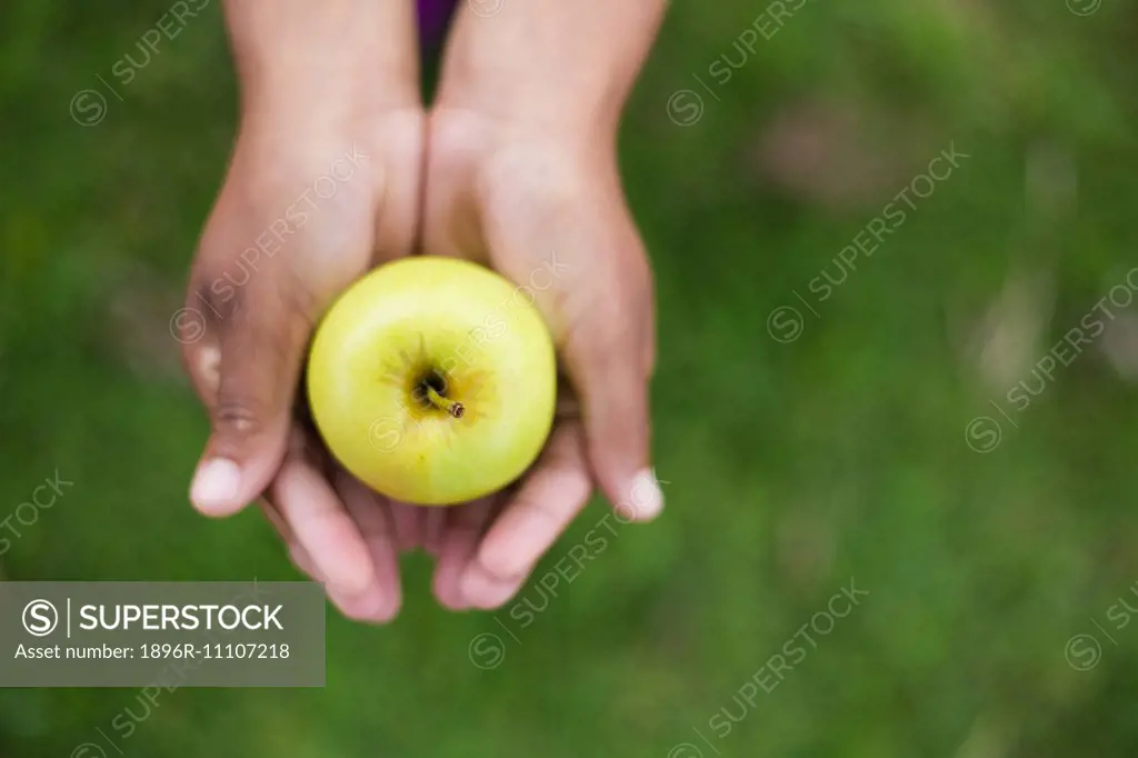 Hands holding holding a ripe Golden Delicious Apple with blurred back ground, South Africa