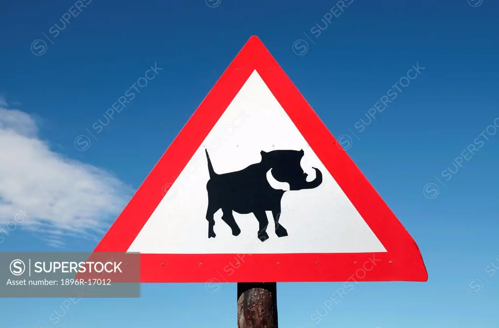 Road sign warning of Warthogs in Road, Grahamstown, Eastern Cape Province, South Africa