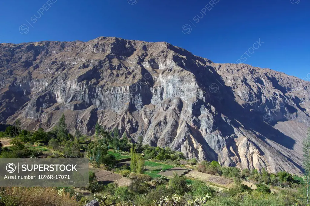 Terrace farming in the Colca Canyon, Canon del Colca, Andes Mountains, Caylloma Province, Peru, South America