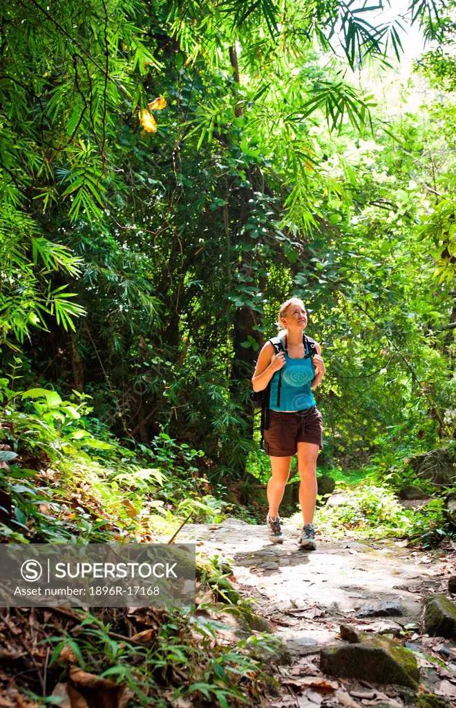 Female hiker walking in forest in Chiang Mai, Thailand.