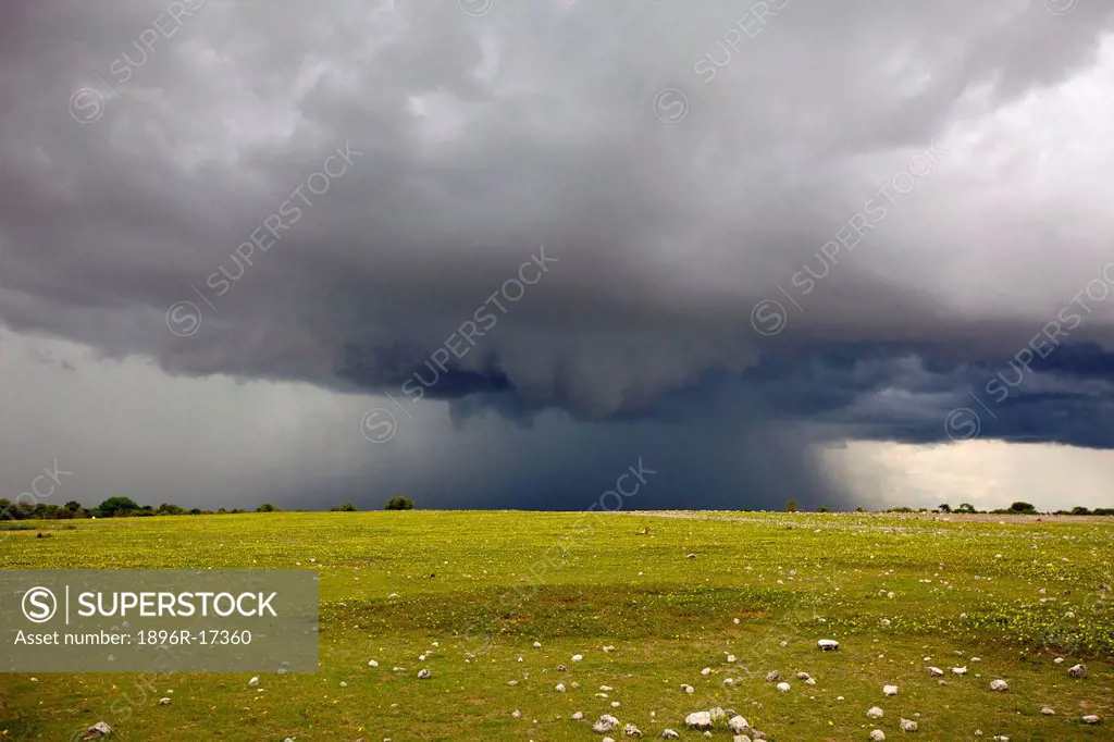 A storm approaching, Etosha National Park, Etosha, Namibia