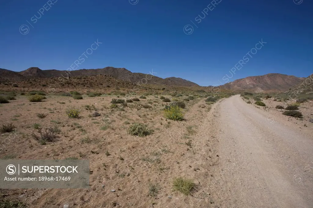 The Richtersveld is located in South Africa´s northern Namaqualand, this arid area represents a harsh landscape where water is a great scarcity and on...