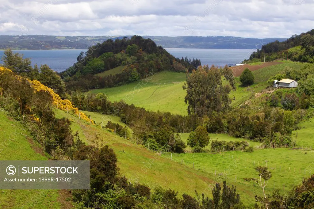 Undulating lush countryside, Chiloe Island, Region de Los Lagos, Patagonia, Chile, South America