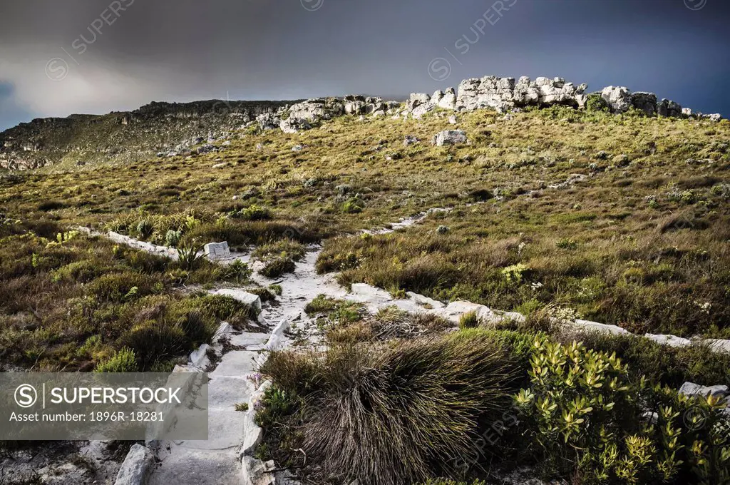 Crossroad of hiking paths, Muizenberg Peak, Silvermine, Table Mountain National Park, Cape Town, Western Cape, South Africa
