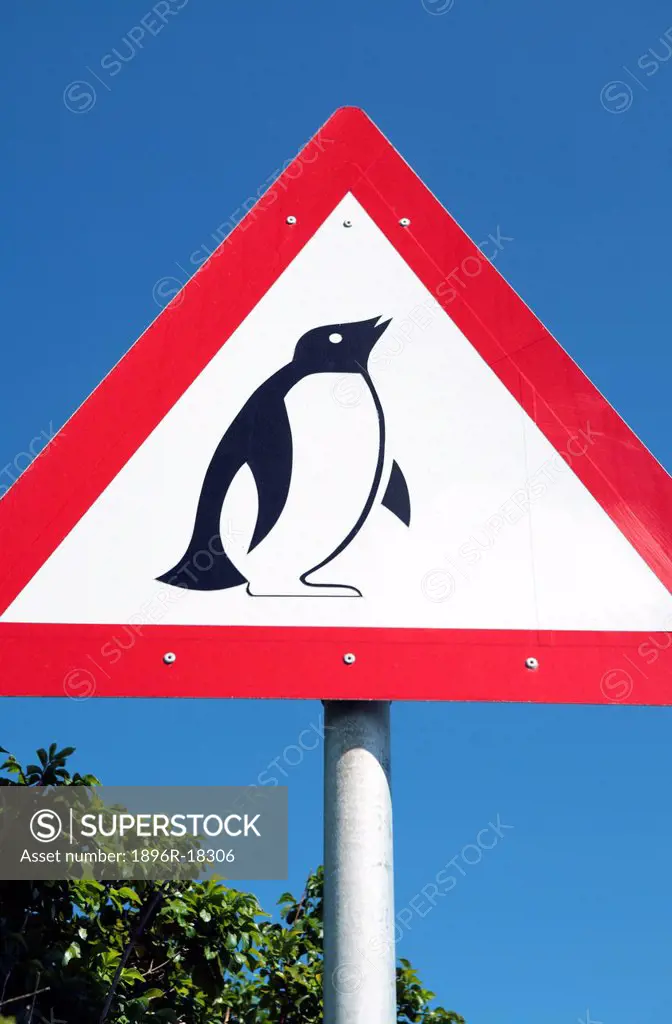 Road sign warning of penguin´s crossing, Boulders Beach, Western Cape, South Africa