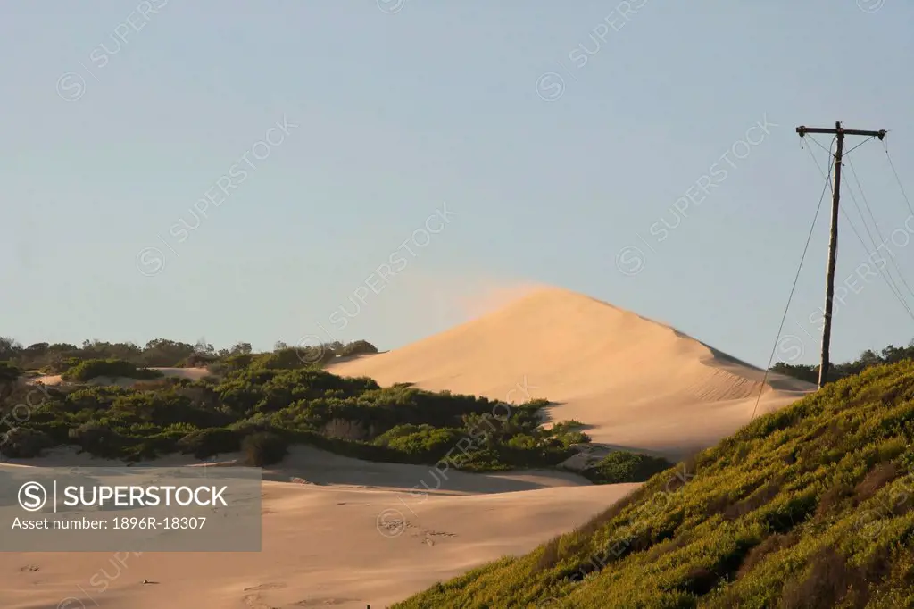 Image of wind blowing the sand on a large coastal sand dune at Maitlands beach, Port Elizabeth, Eastern Cape, South Africa