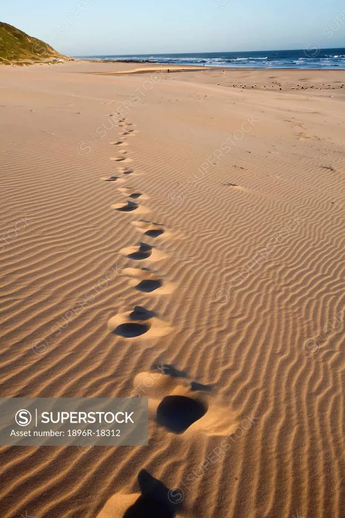 Footprints in the sand, Maitlands Beach, Port Elizabeth, Eastern Cape, South Africa