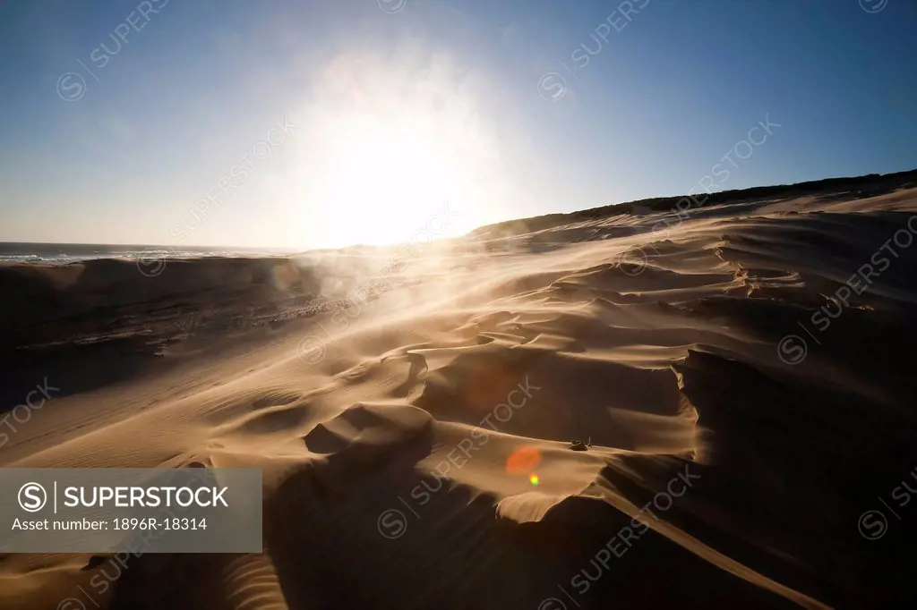 Sun flare over a sand dune, Maitlands Beach, Port Elizabeth, Eastern Cape, South Africa