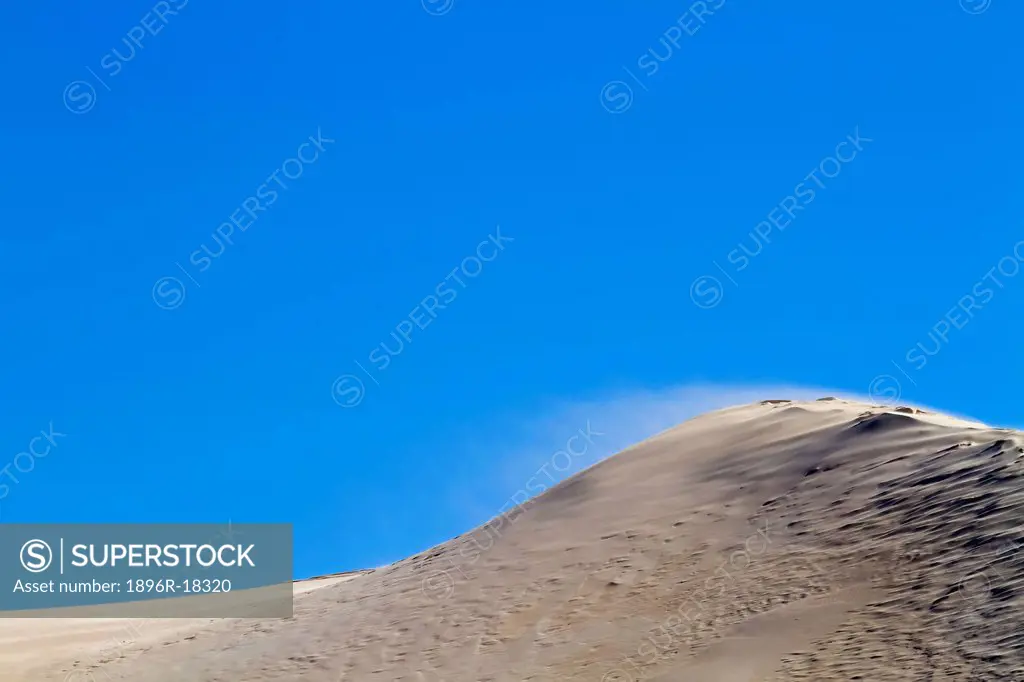 Sand dunes at Maitlands Beach, Port Elizabeth, Eastern Cape, South Africa
